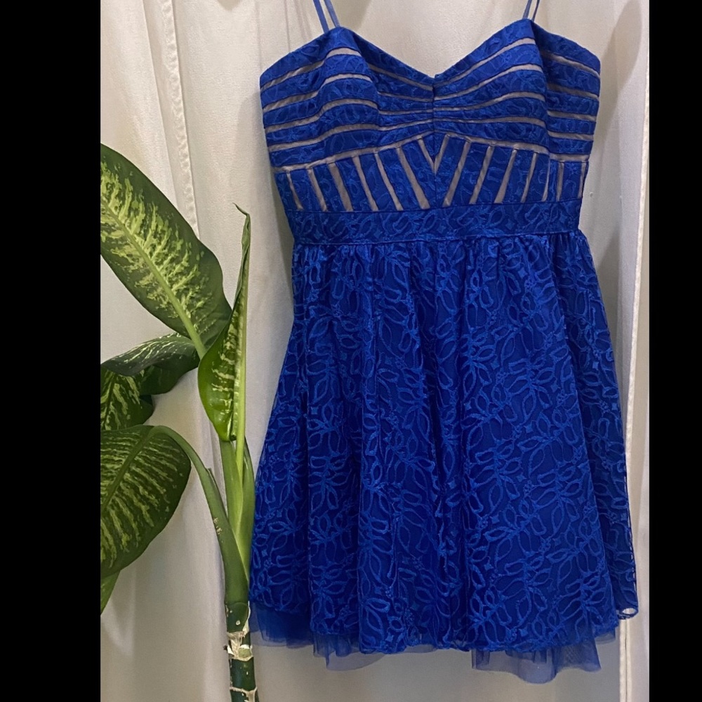 Cache Royal Blue Sleeveless Lace Formal  Dress
